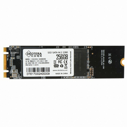 디오테라 VIVA 300S PLUS M.2 SATA (256GB)