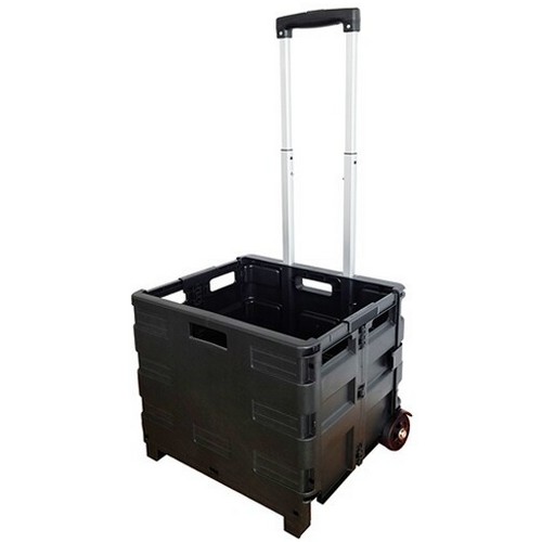 빅앤트 폴딩카트 25L_이미지