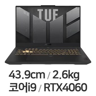 ASUS TUF Gaming F17 FX707VV4-LL017 WIN11 32GB램