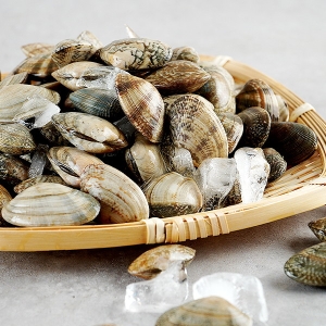 대풍수산식품 껍질바지락 1kg