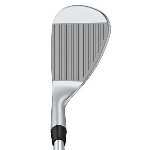 �� S259 ũ�� ������ ����