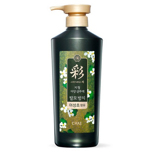  과일나라 지청 자양 어성초 샴푸액 520ml [1개]