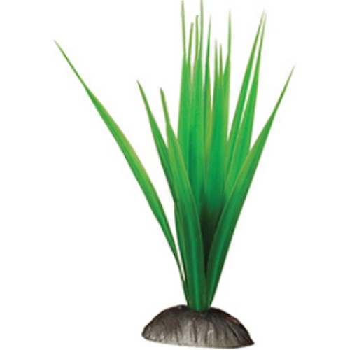 [�Ҹ�] �ǽ������� �� ��ȭ 15cm 2P