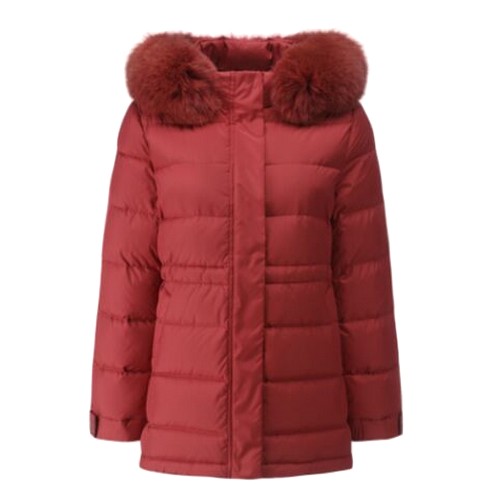 ��ǰ �� �̹���