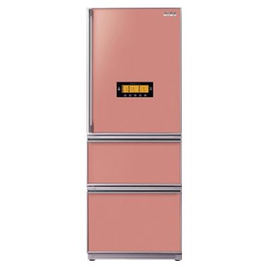 LG���� ����� R-D303PR