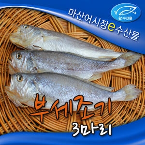 마산어시장 부세조기 20~22cm (3개)_이미지