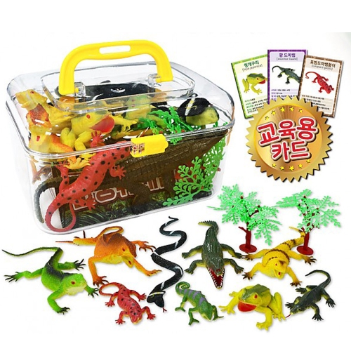 ��ǰ �� �̹���