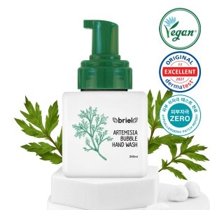 개똥쑥 버블 핸드워시 250ml
