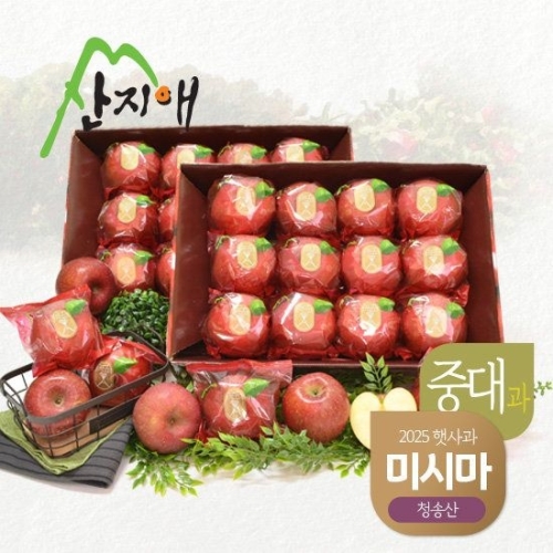 청송 햇사과 미시마 3kg