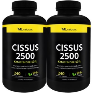 내추럴스 2병 내추럴스 시서스 2500 크롬과 케토스테론 40 240정
