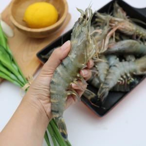 [불명] 블랙타이거새우 10미 왕새우 구이 찜 요리 캠핑요리 대하구이_이미지