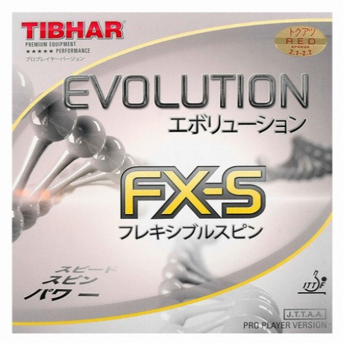 티바 에볼루션 FX-S_이미지