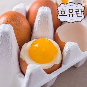 에코호유 호유란 짜지않고 촉촉한 반숙계란 30구 (2개)_이미지