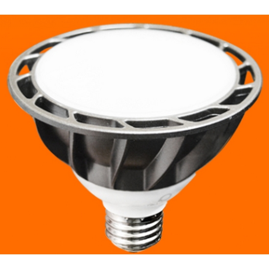 ���ų�������Ʈ�ڸ��� NASPIL LED PAR30 Ȯ���� �ҷΰ����� �ֱ��� 15W