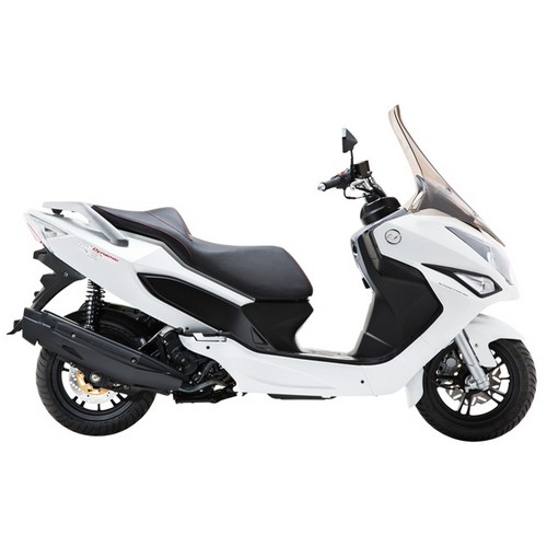 디앤에이모터스 Q2 다이내믹