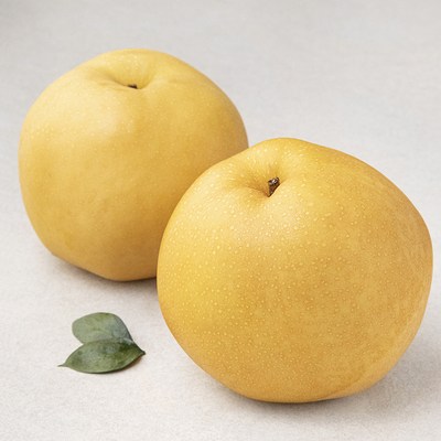 곰곰 당도선별 신고배 1kg 2입 1팩_이미지