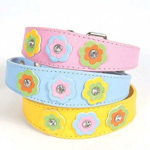 지엠펫 샤이니 플라워 가죽목줄 S