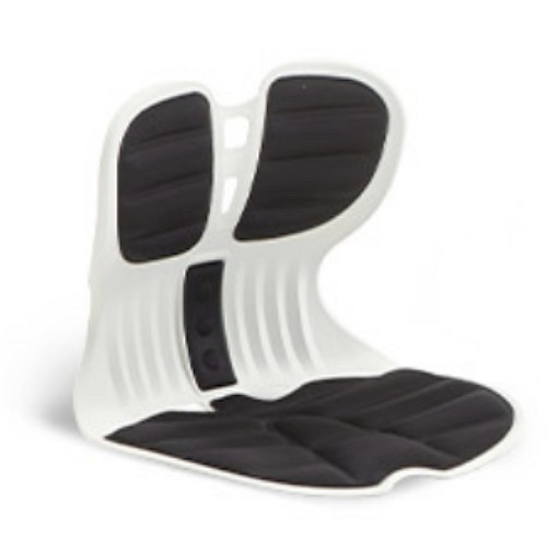 파로마 콜인 바른자세 교정의자 (1개)