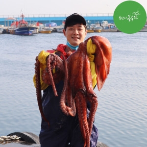 A급 동해 피문어 자숙 1kg