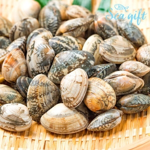 씨기프트 냉동 피바지락 5kg 해감 업소용 조개 바지락 칼국수