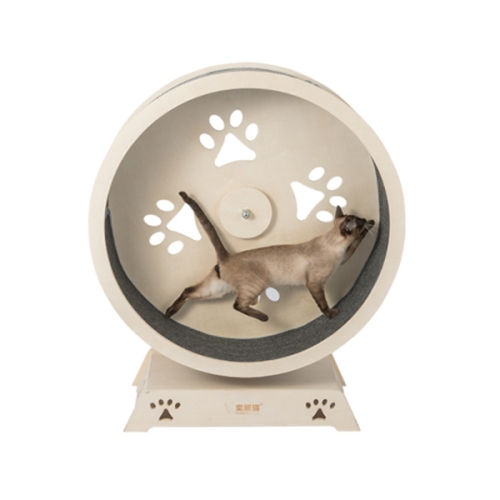 [불명] 고양이 무음 런닝머신 소형이미지입니다. 누르면 해당 게시물로 새창이동합니다.