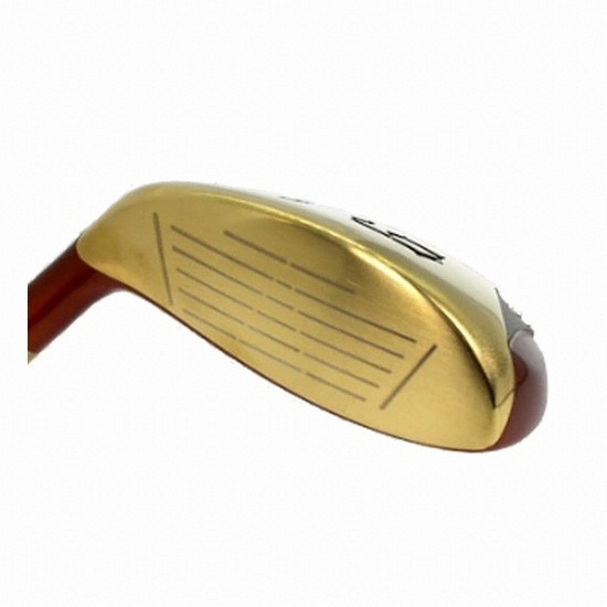 ����Ʈ �����̿� ���̺긮�� ������ ���̾� ī��