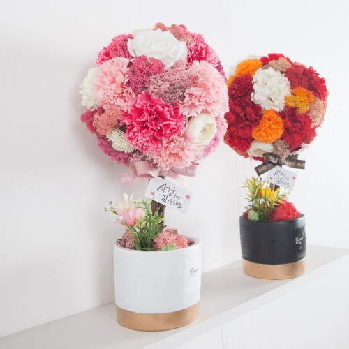 �ö��Ʈ�� ī���̼����Ǿȭ��set 37cm P4 ��ȭ FSCANM