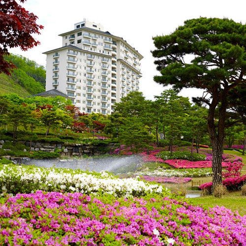 GS(엘리시안강촌) 엘리시안 강촌 리조트 객실_이미지