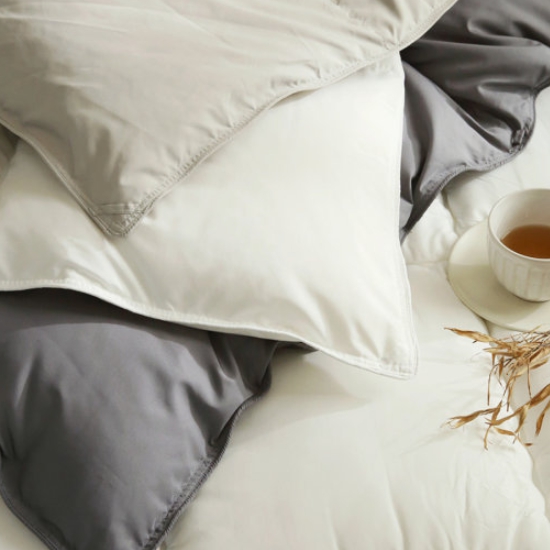 라셀렌 폴란드 다운90% 빌리프 알러지케어 차렵 구스이불 사계절 (퀸 Q)_이미지