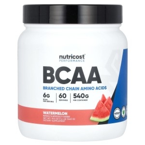 퍼포먼스 BCAA 수박맛 540g