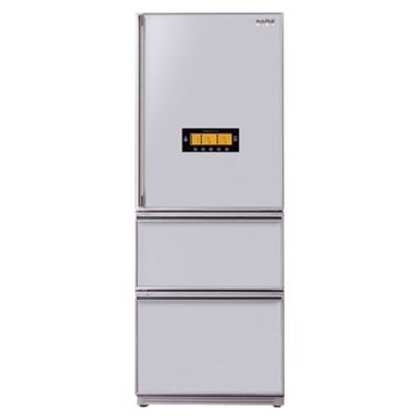 LG전자 디오스 R-D303PV_이미지