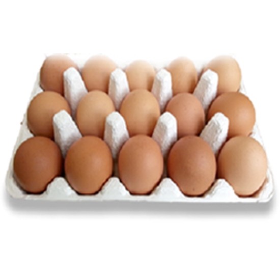 연산오골계 부화용 유정란 30구