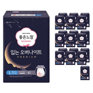 좋은느낌 입는 오버나이트 프리미엄 대형 4개 (20팩(80개))_이미지