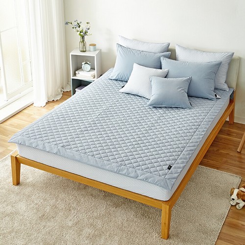 고밀도 소프티 블루 패드