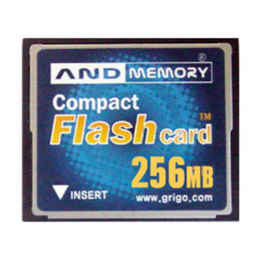 AND CF (256MB)_이미지
