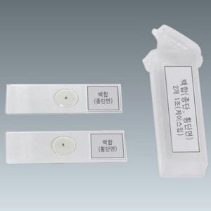 [불명] 업체 백합 기공 영구 프레파라트