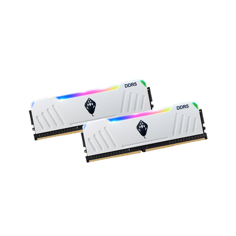 ANACOMDA DDR5-6000 CL40 ET RGB White 패키지 디앤디컴 ((32GB(16Gx2)))_이미지