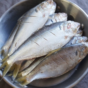 팔복수산 비늘손질 국내산 급냉 전어 구이용 1kg (1개)_이미지