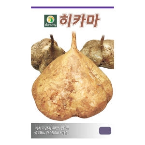 다농 히카마씨앗 10g 얌빈 멕시코감자씨앗