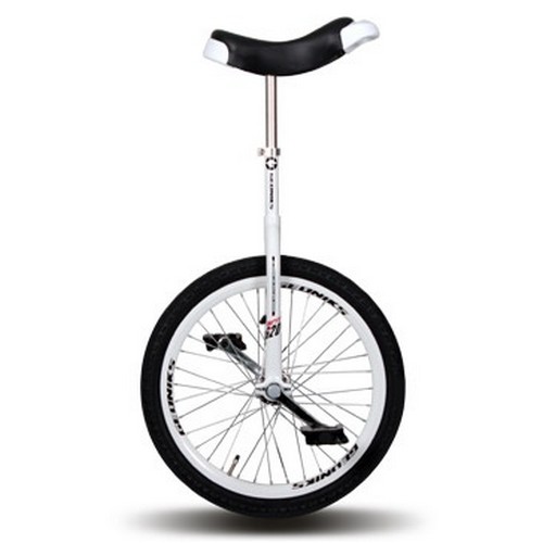 지오닉스 유니싸이클 G-20_이미지