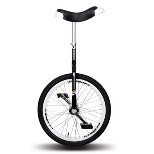 지오닉스 유니싸이클 G-20_이미지