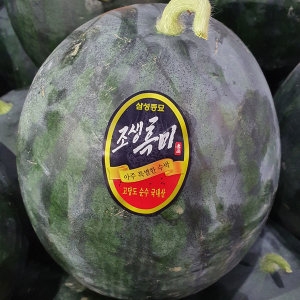 황금열매 국내산 고당도 꿀수박 수박 6kg 적당함_이미지
