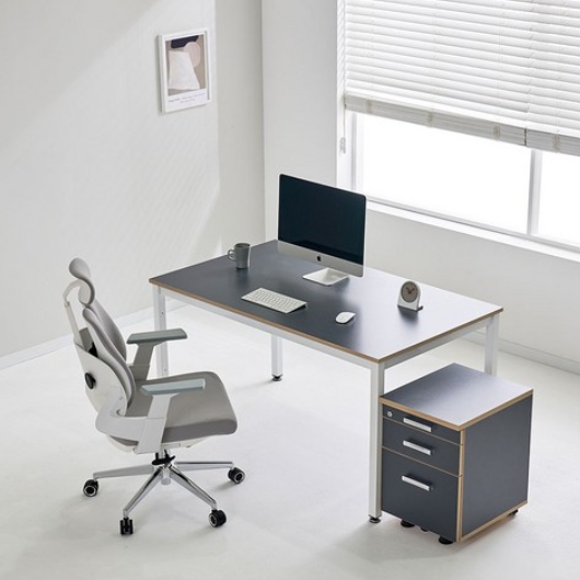 TS퍼니처 TS-04 LPM 철제 책상 (1500x900)