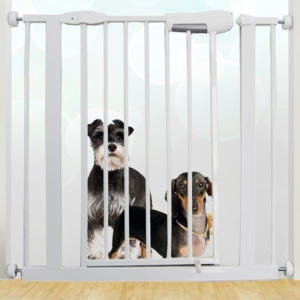 IFIT �����̾� ������ (KH-001)