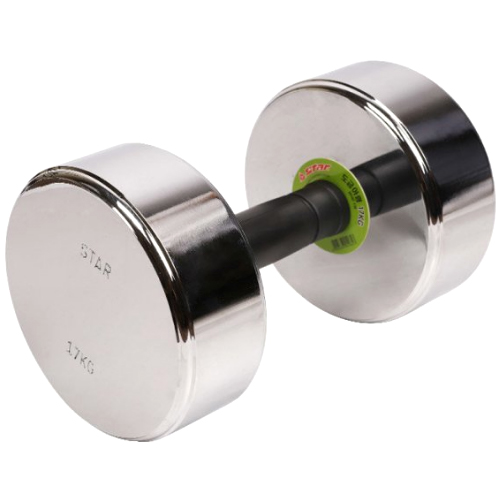 신신상사 스타스포츠 도금 아령 ER102 (17kg, 1개)_이미지