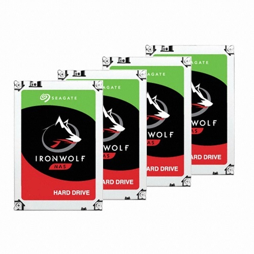 Seagate IronWolf 패키지 7200/256M ST8000VN004 (4x8TB)_이미지