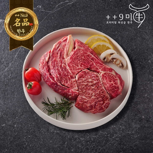 구미우 1++ 9등급 한우 등심 구이용 500g