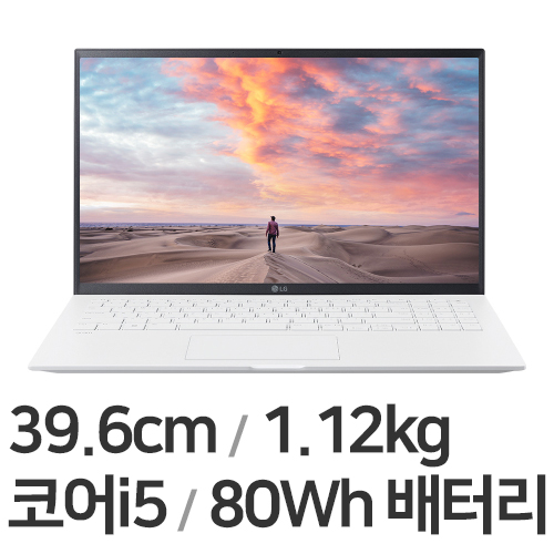 LG전자 2022 그램15 15ZD95P-GX56K (SSD 256GB + SSD 256GB)