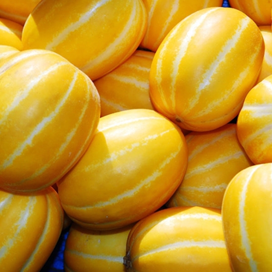 참외농장 향기나는 성주참외 8~15개(과) 3kg