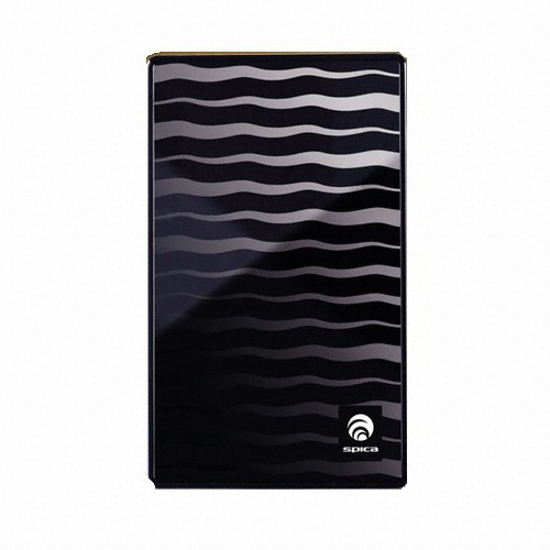 지디스 Spica Homme X1 (250GB)_이미지